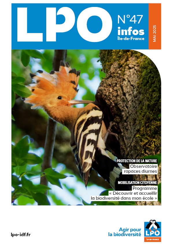 LPO Infos n°47
